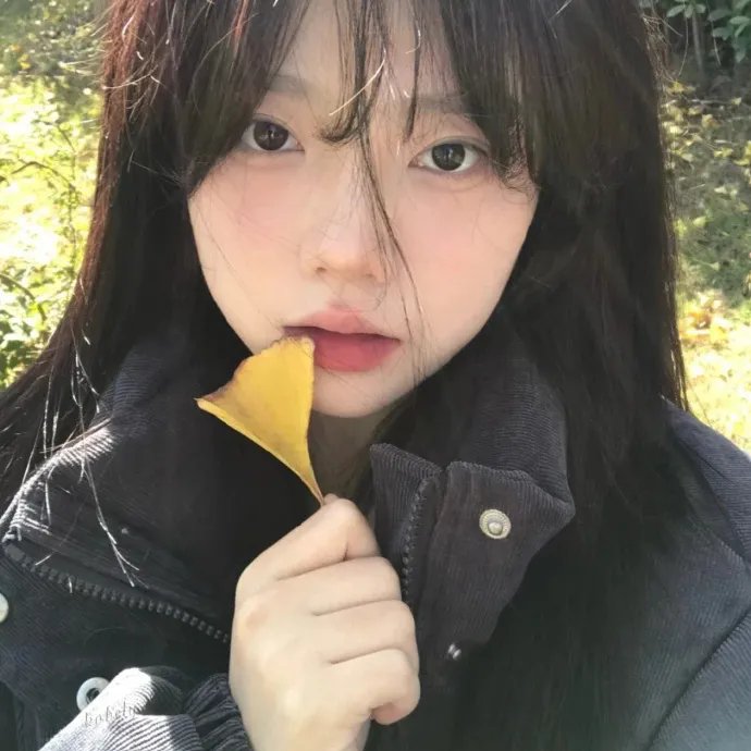 疯狂之月